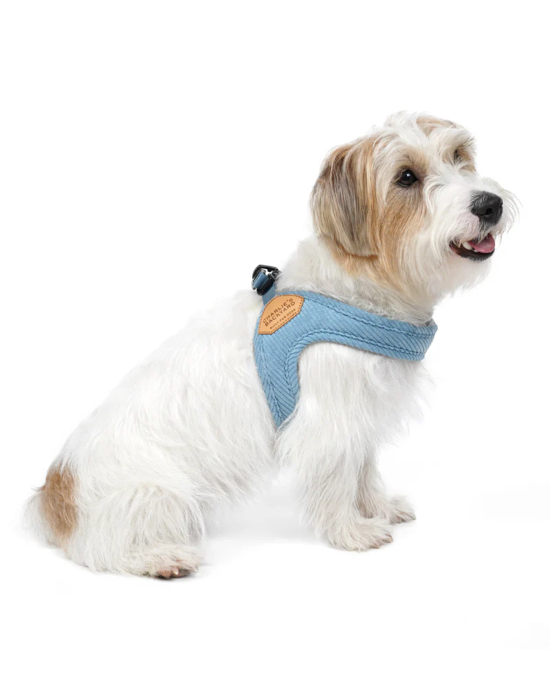 "Roy" Corduroy Buckle Up Easy Dog Harness in Baby Blue - Image 3