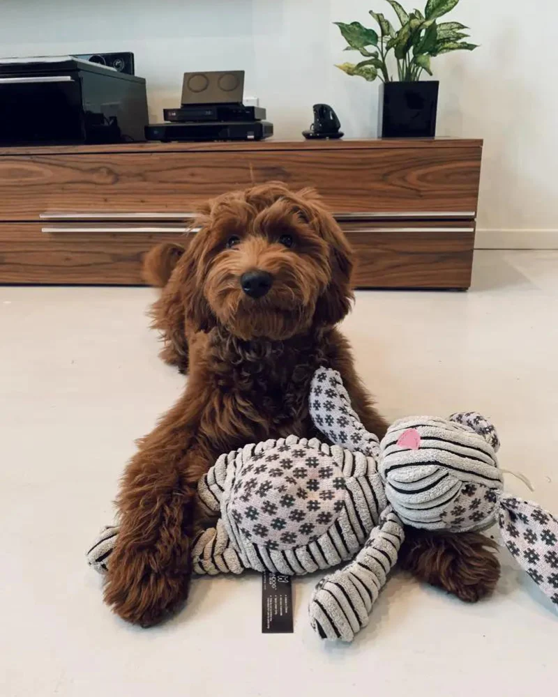 Corduroy Bunny Plush Dog Toy - Image 3