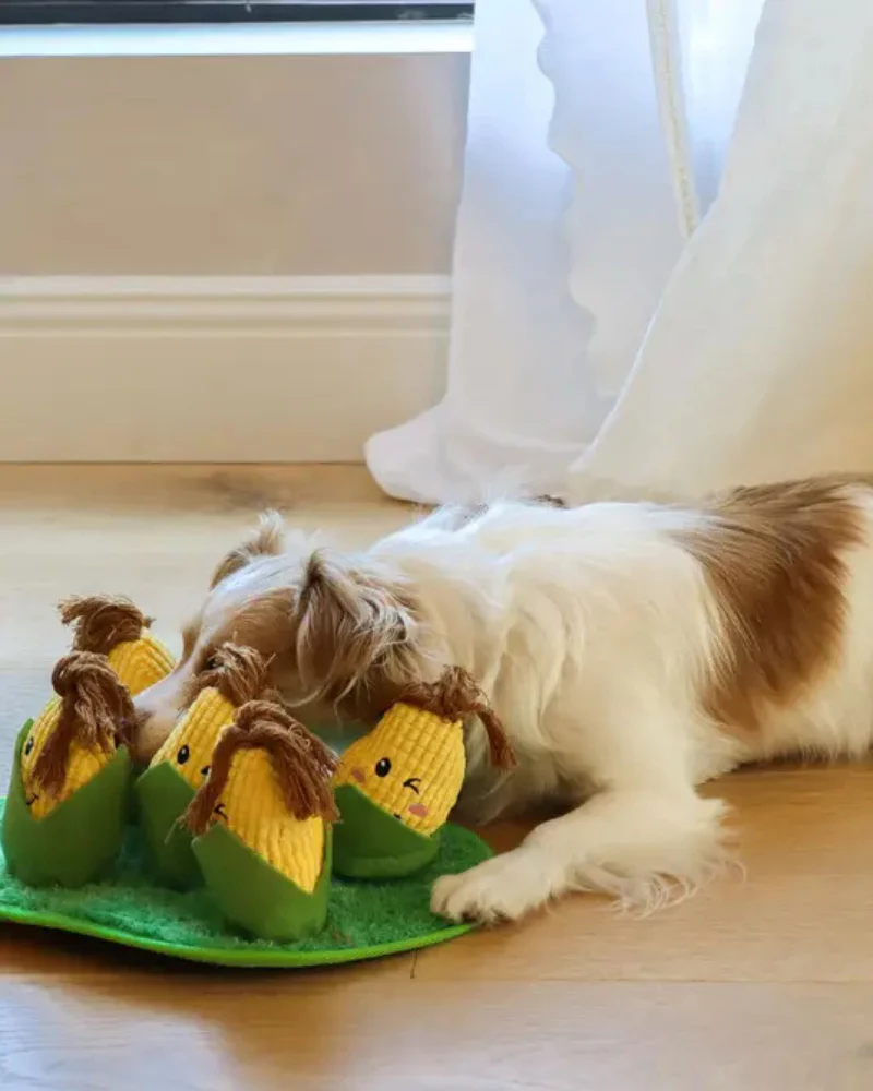 Corn Maze Snuffle Dog Toy - Image 4