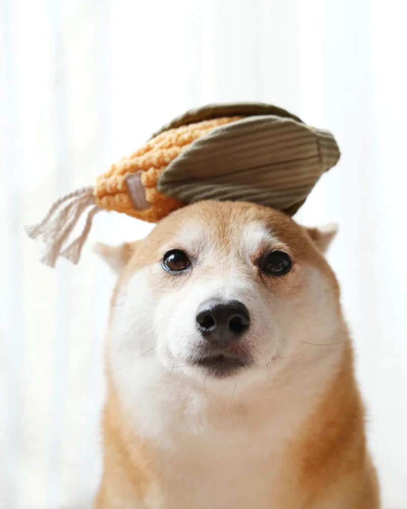 Corn Snuffle Plush Toy for Dogs - Image 5