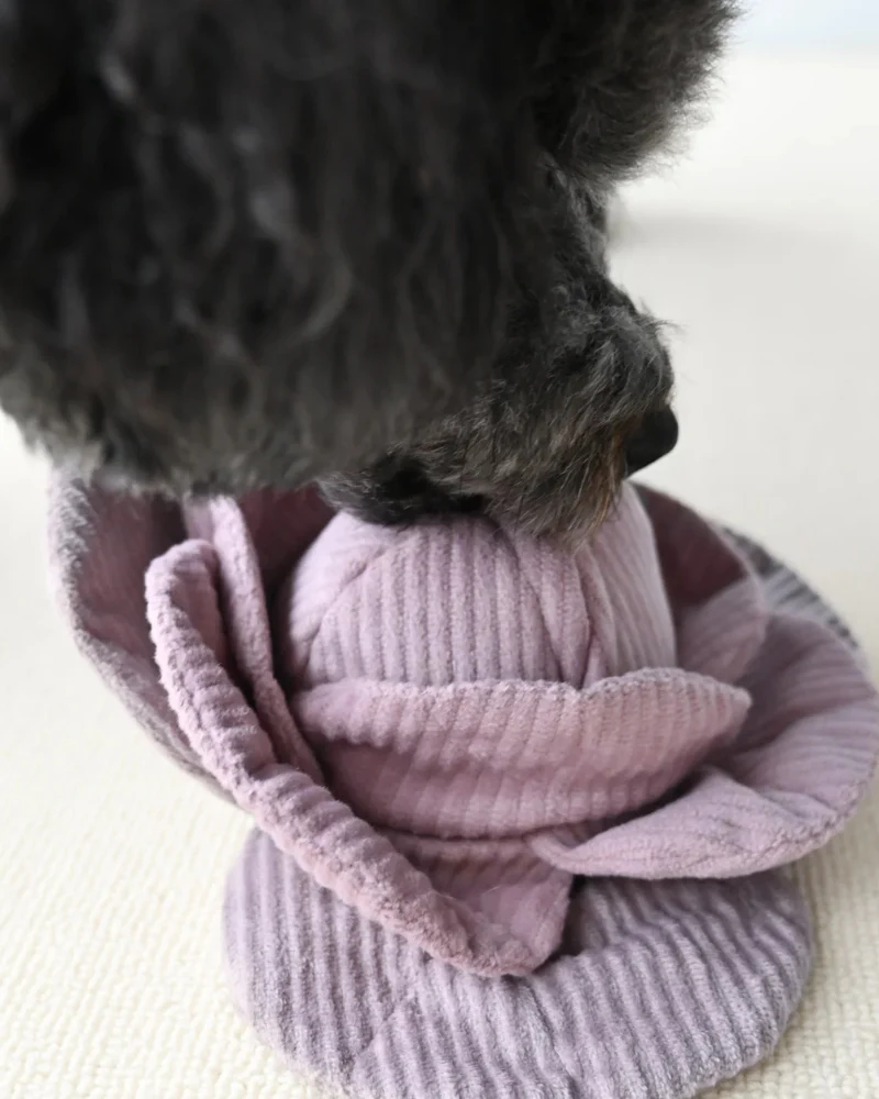 Cabbage Snuffle + Pop Plush Toy for Dogs - Image 4