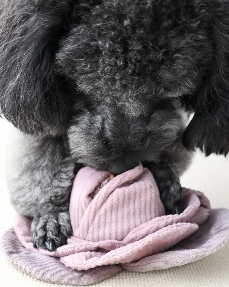 Cabbage Snuffle + Pop Plush Toy for Dogs - Image 6