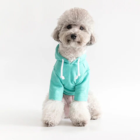 COTE A COTE | Crop Hoodie in Mint - Image 2