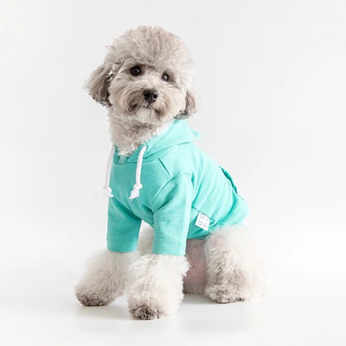 COTE A COTE | Crop Hoodie in Mint - Image 3