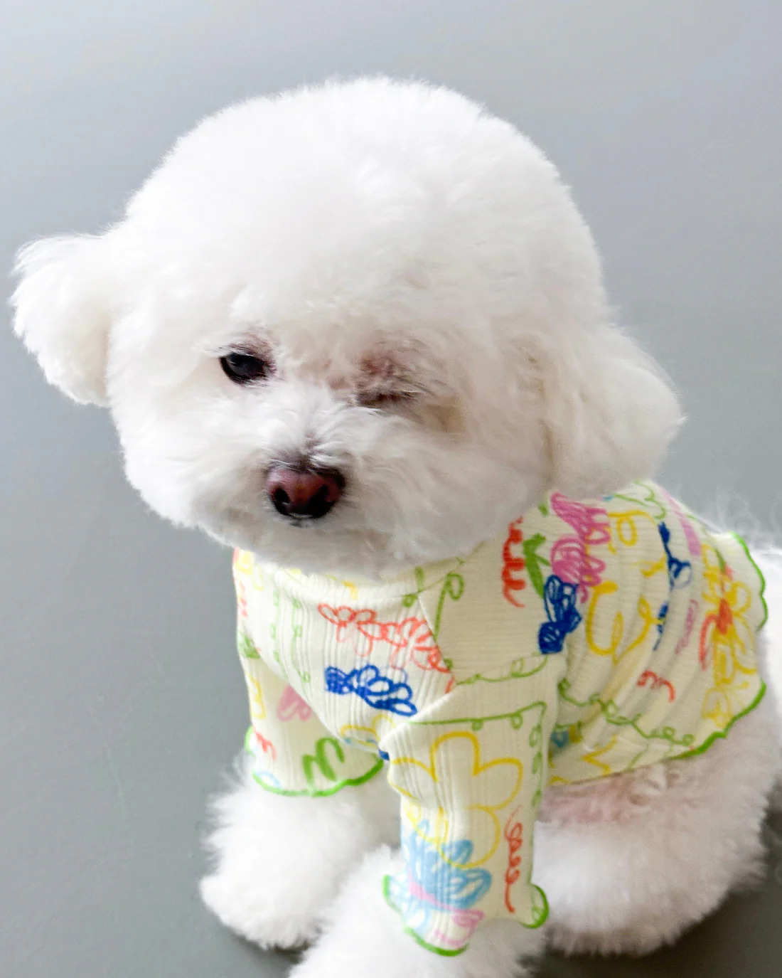 Garden Lettuce Dog T-Shirt (FINAL SALE) - Image 5