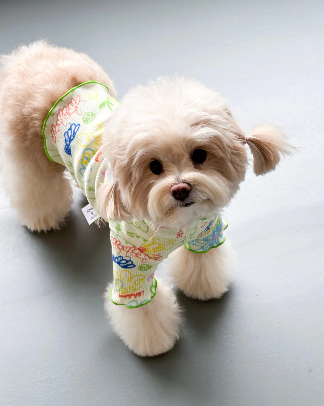 Garden Lettuce Dog T-Shirt (FINAL SALE) - Image 6