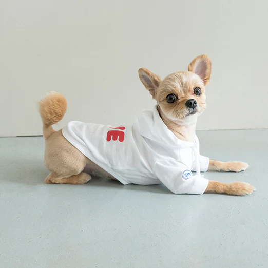 COTE A COTE | Love Hoodie in White - Image 2