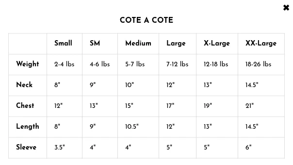 COTE A COTE | Polar Bear T-Shirt in Red - Image 5