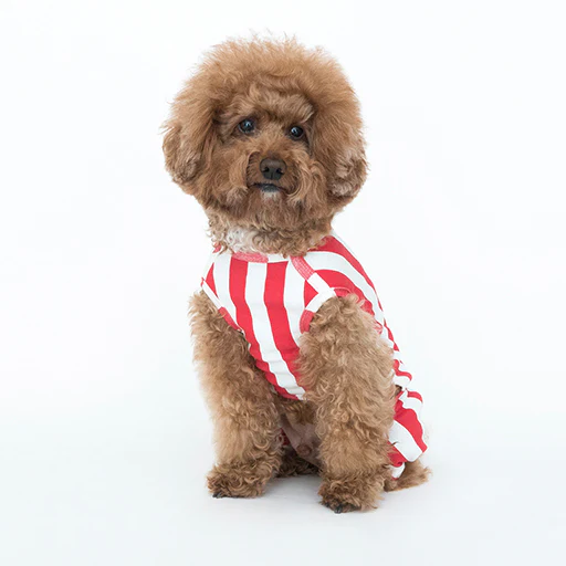 COTE A COTE | Retro Stripe All-in-One in Red & White - Image 4