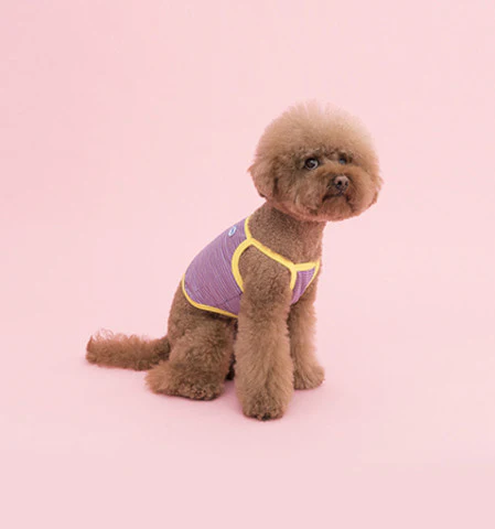 COTE A COTE | Striped Crop Top in Lilac - Image 5