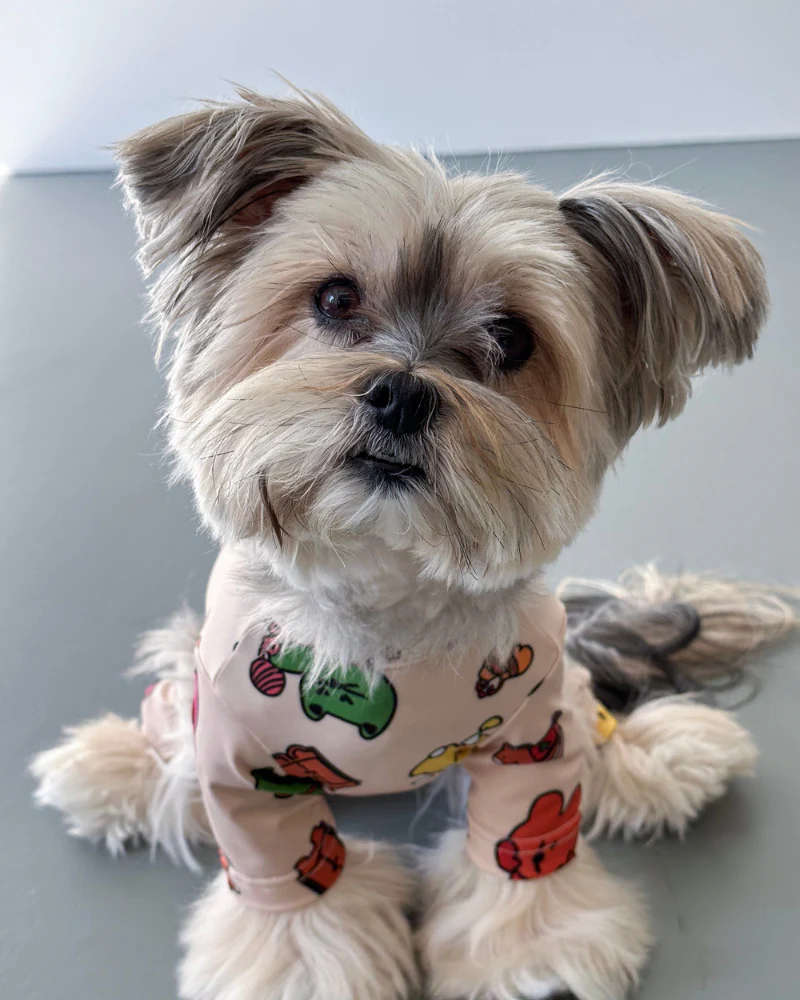 Cote Friends Heatwarm Dog One Piece (FINAL SALE) - Image 5