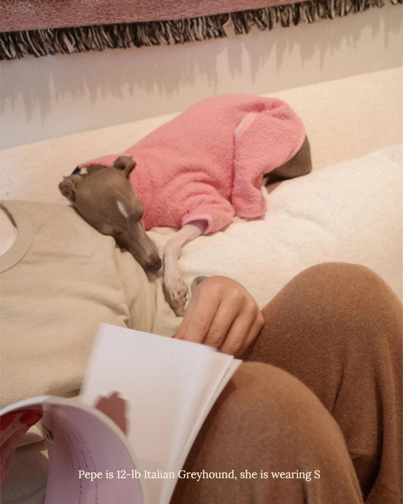 Cotton Candy Fleece Dog Onesie - Image 3