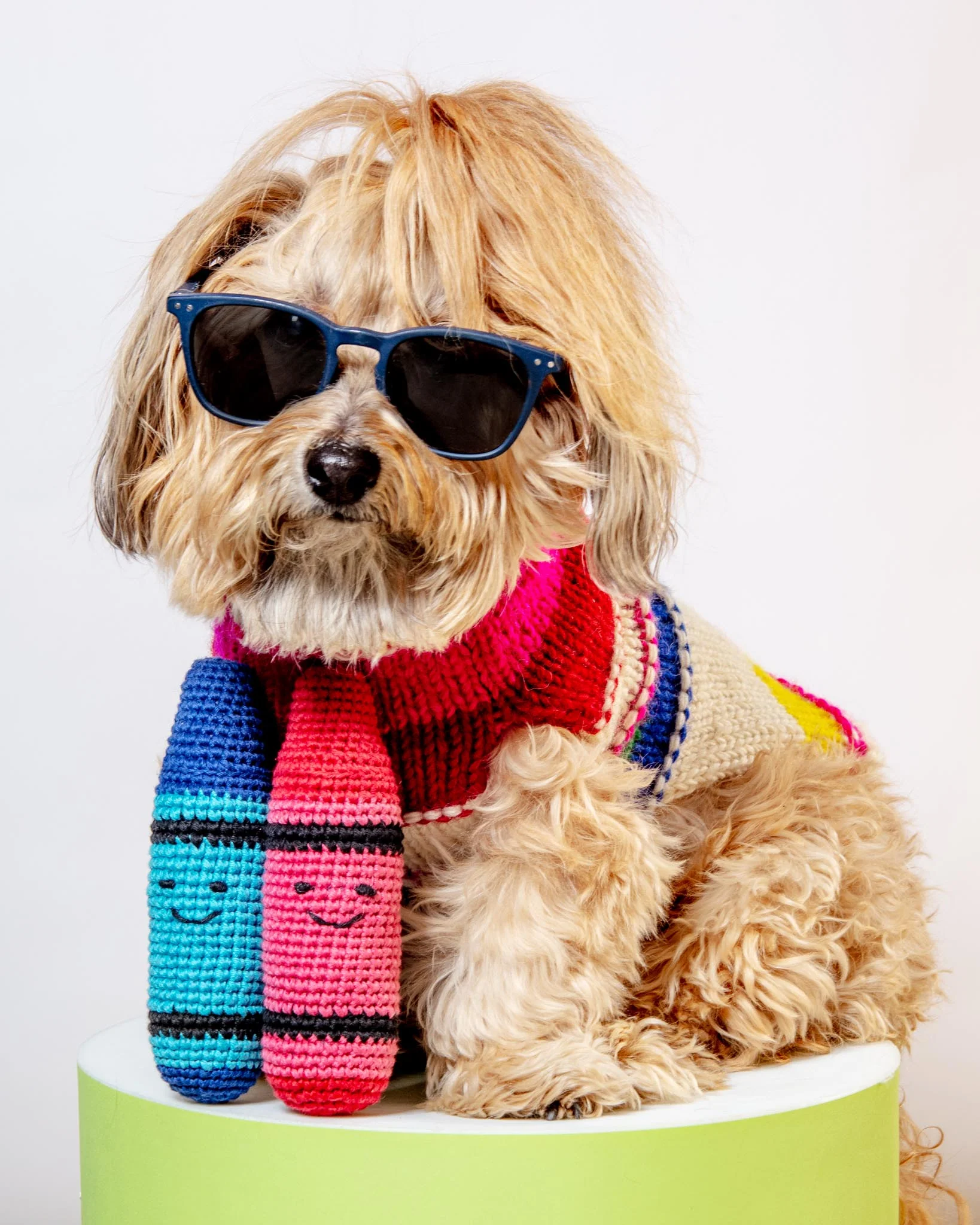 Cotton Crochet Crayon Dog Toy (FINAL SALE) - Image 2
