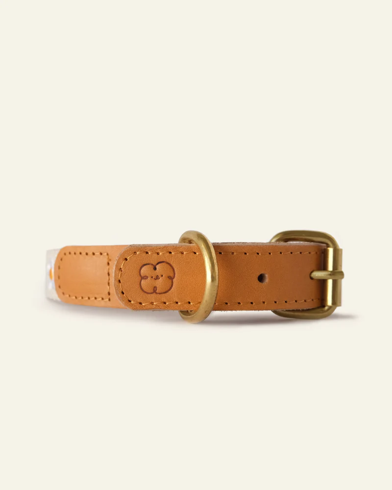 Cotton + Leather Daisy Dog Collar - Image 3