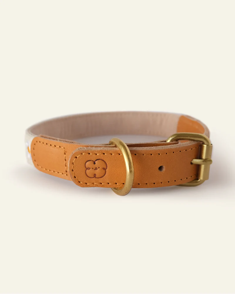 Cotton + Leather Daisy Dog Collar - Image 4