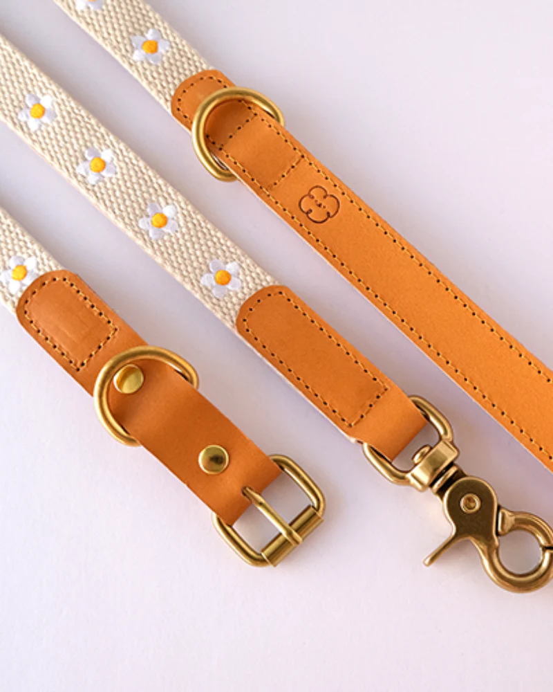Cotton + Leather Daisy Dog Leash - Image 3