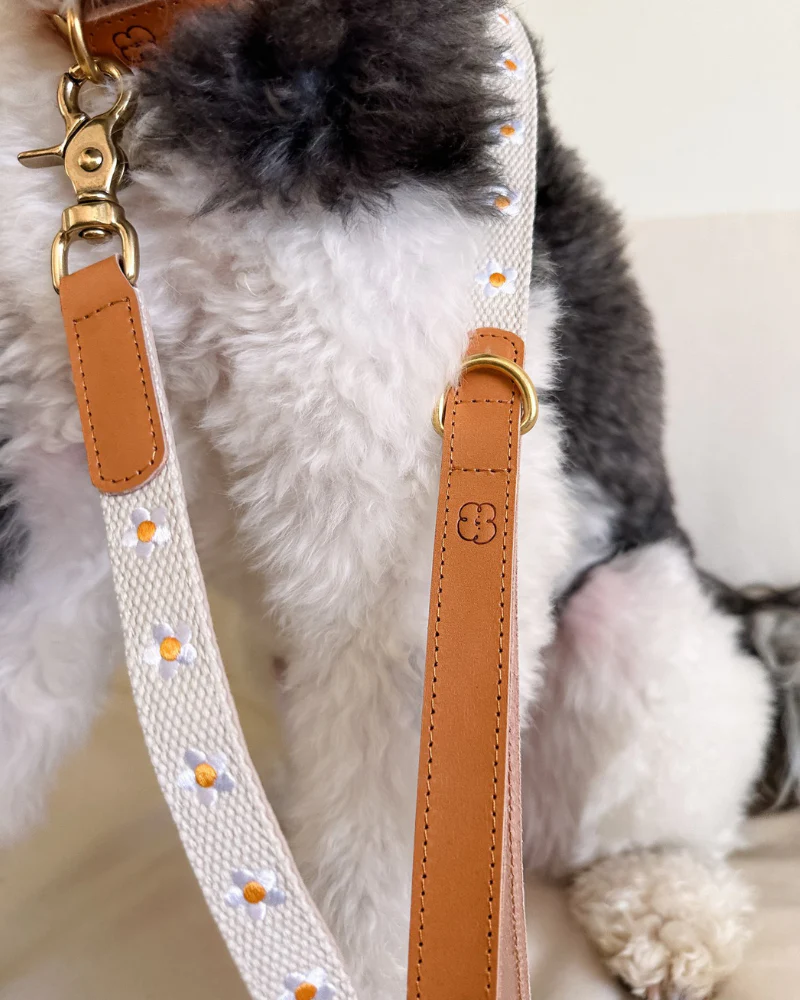 Cotton + Leather Daisy Dog Leash - Image 5