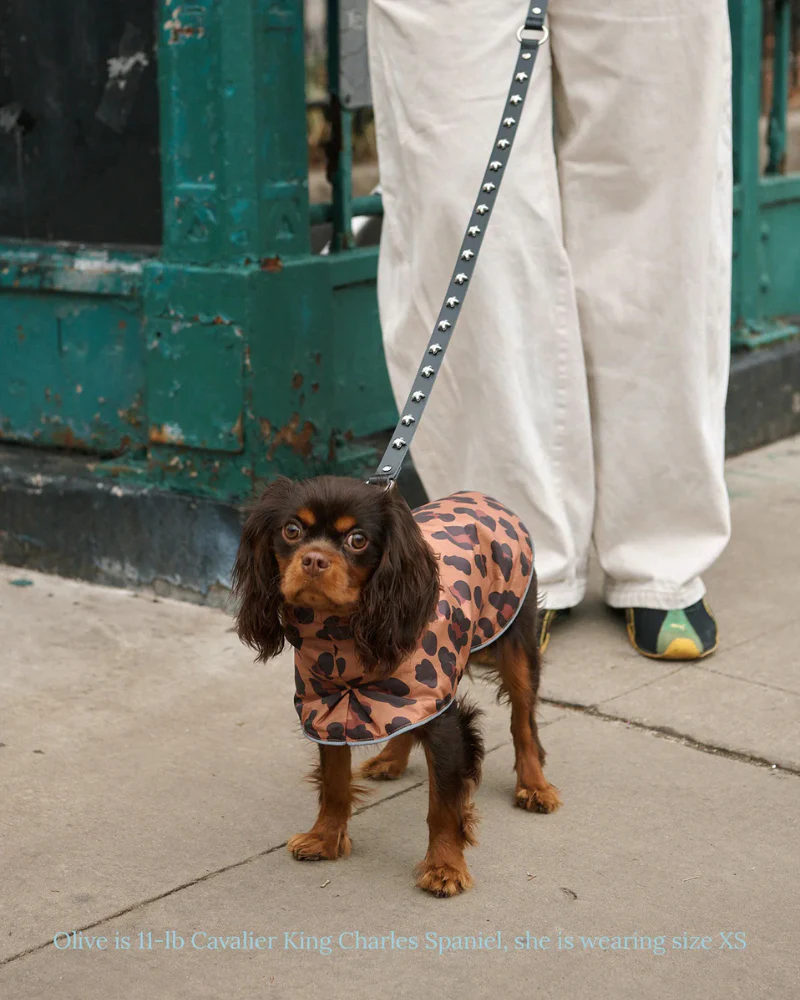Cougar Dog Raincoat - Image 6