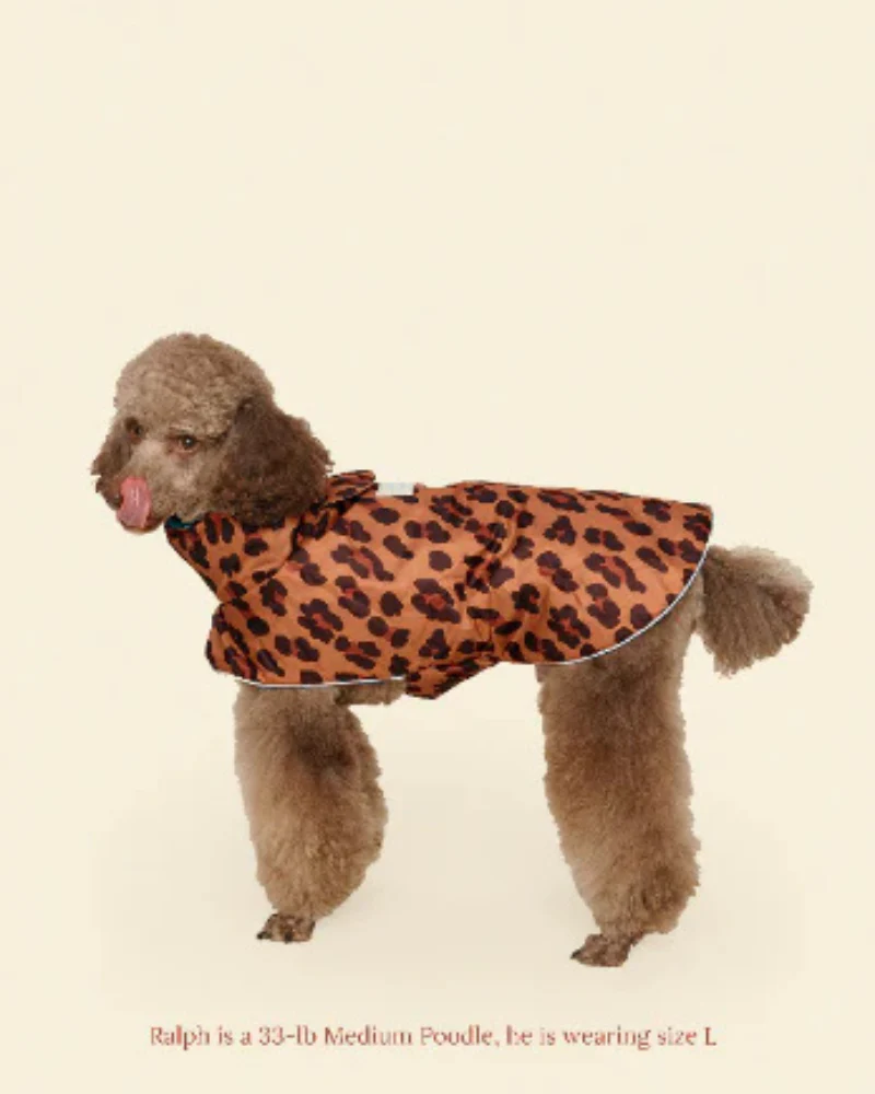 Cougar Dog Raincoat - Image 8