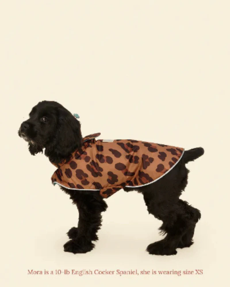 Cougar Dog Raincoat - Image 9