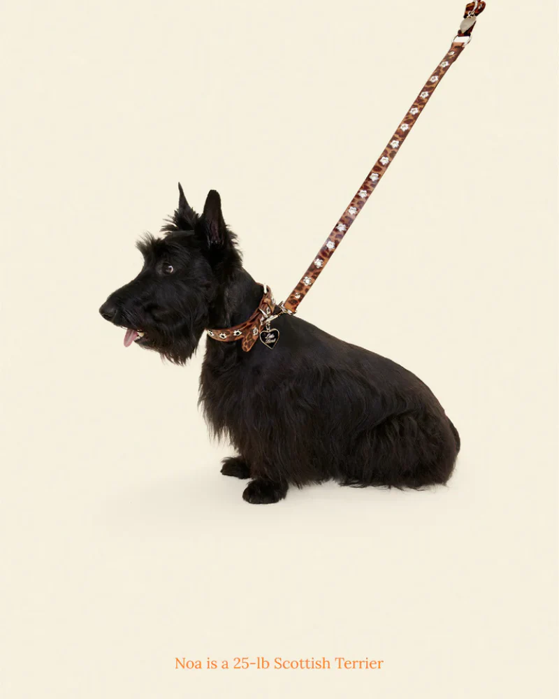 Flower Power Dog Leash in Cougar - Image 2