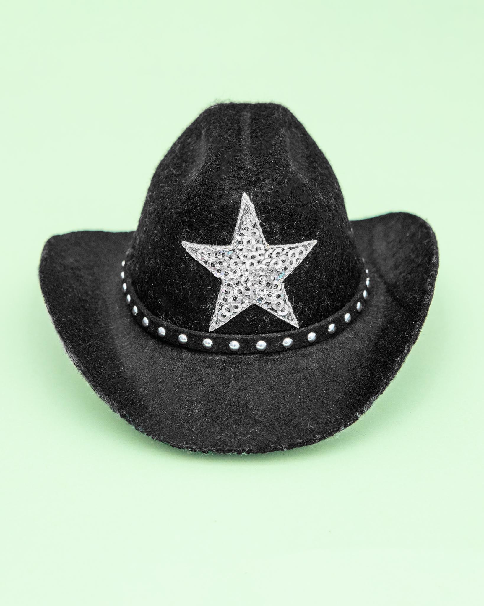 Cowboy Hat for Dogs in Black or Pink - Image 3