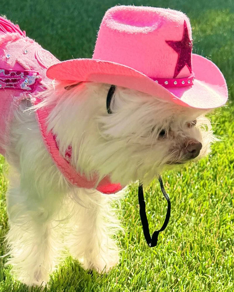 Cowboy Hat for Dogs in Black or Pink - Image 6
