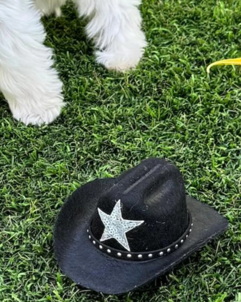 Cowboy Hat for Dogs in Black or Pink - Image 7
