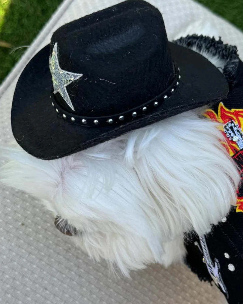 Cowboy Hat for Dogs in Black or Pink - Image 8