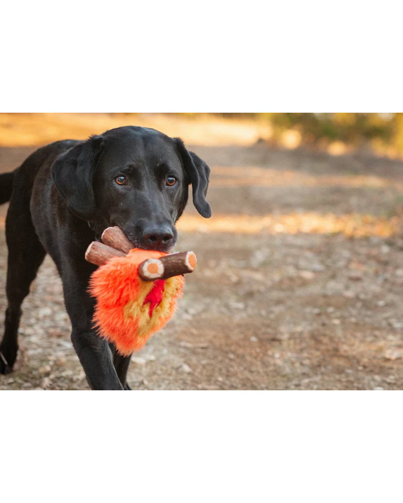 Cozy Campfire Squeaker Dog Toy << FINAL SALE >> - Image 7