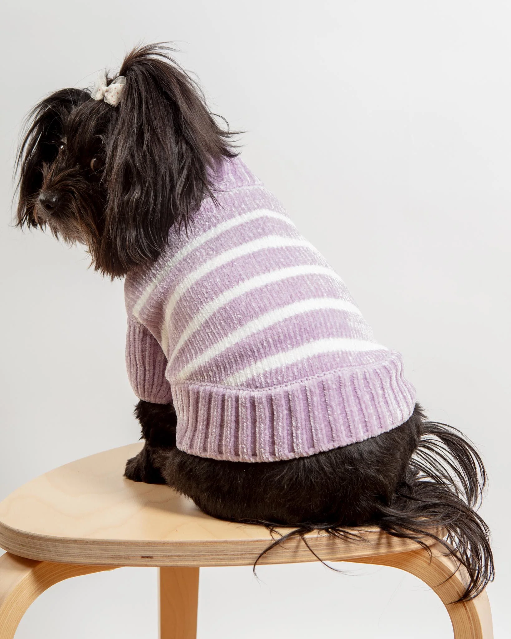 Cozy Soft Chenille Striped Dog Sweater in Lavender Frost (FINAL SALE) - Image 3