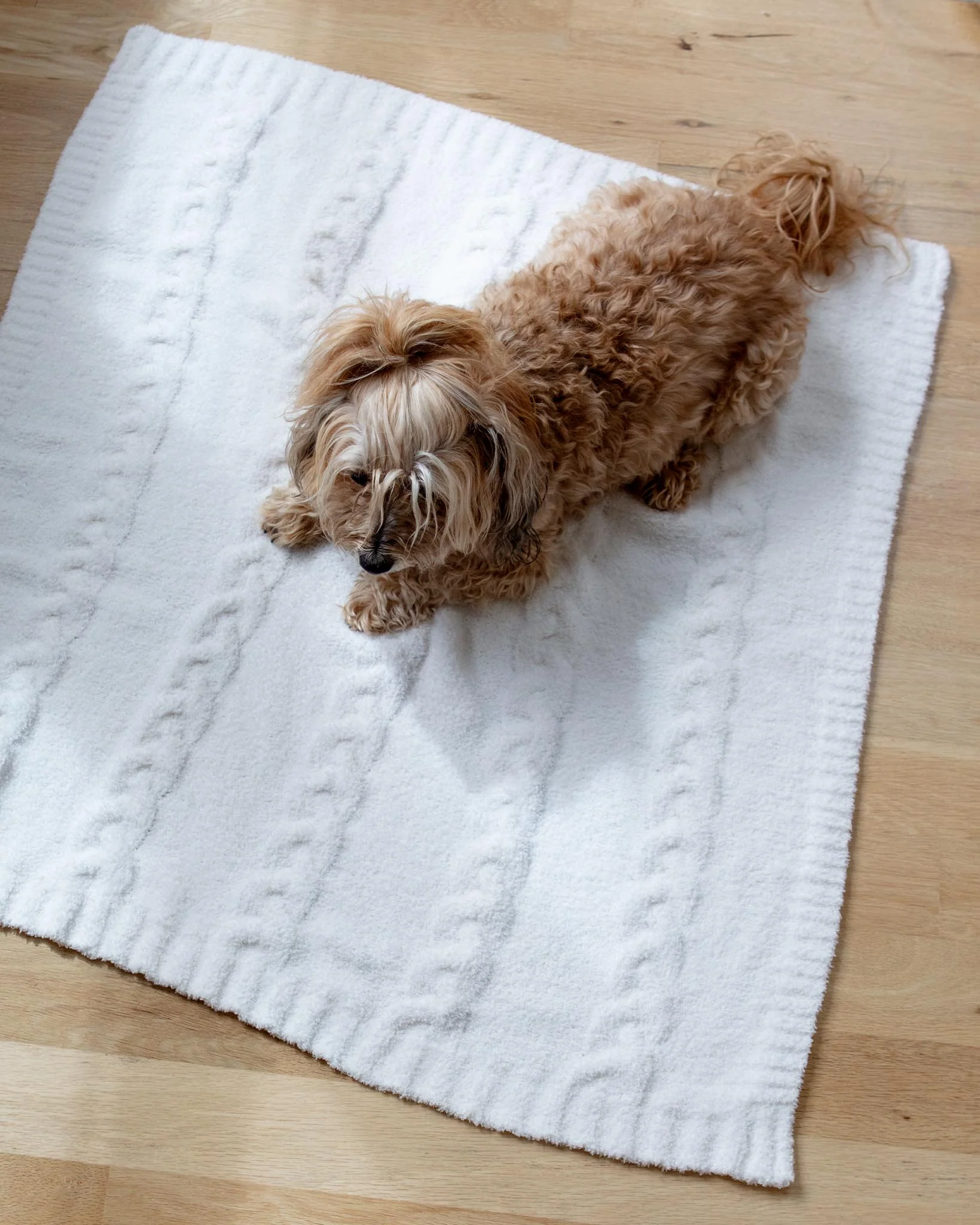 CozyChic® Heathered Cable Dog Blanket - Image 3