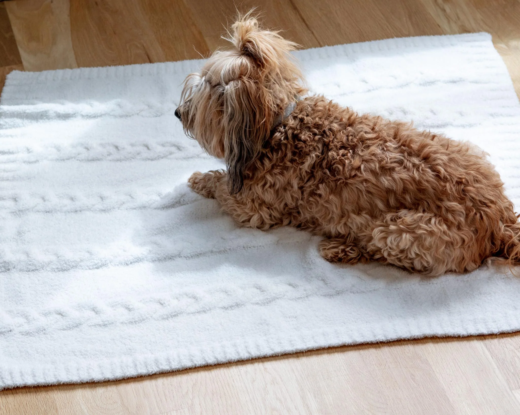 CozyChic® Heathered Cable Dog Blanket - Image 6
