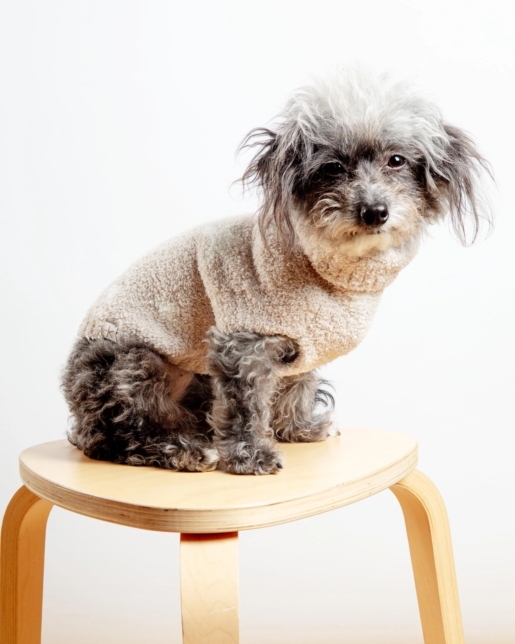 CozyChic® Starry Night Pet Sweater in Stone Pearl - Image 4