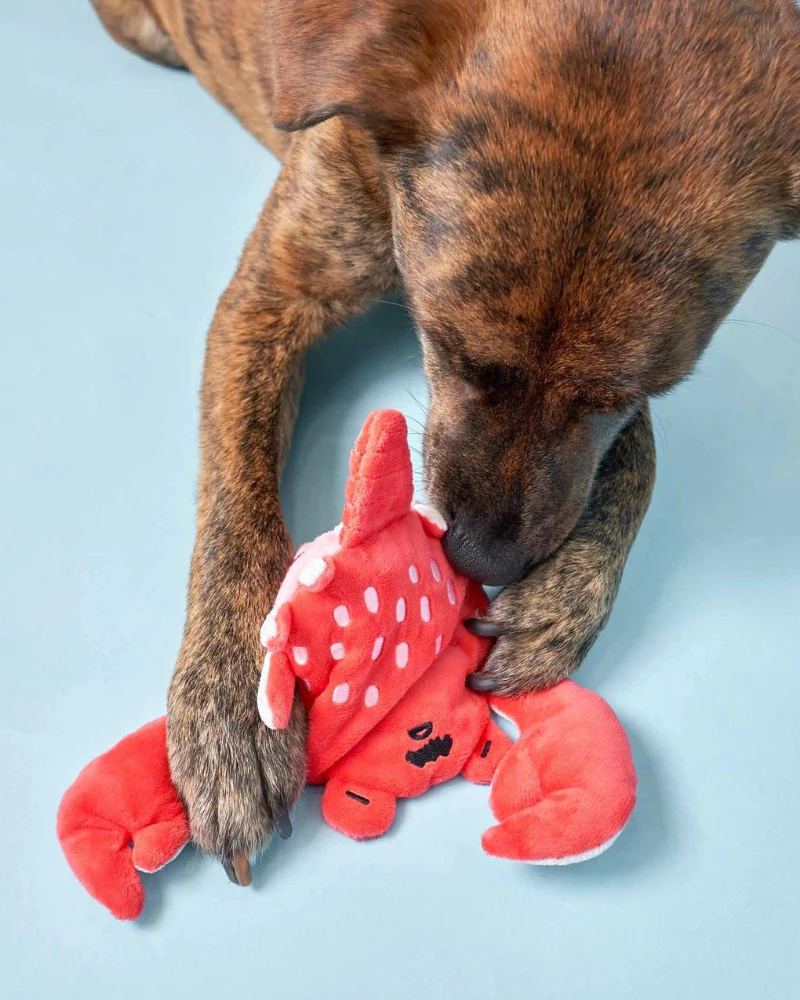 Crab Nosework Toy for Dogs - Image 3