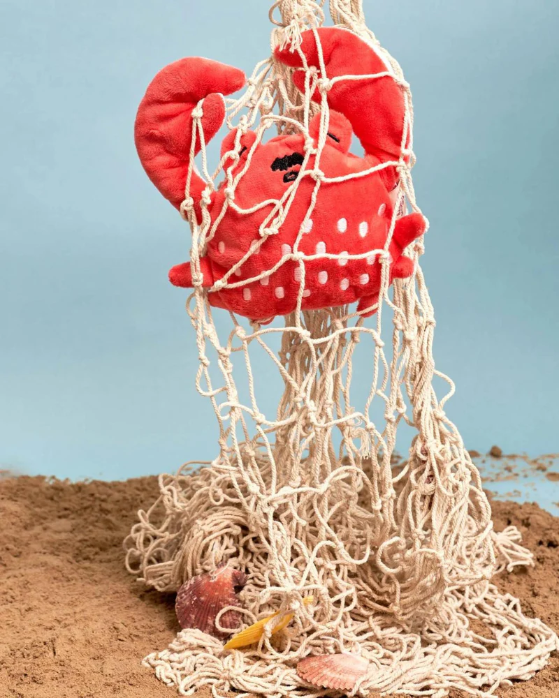 Crab Nosework Toy for Dogs - Image 4