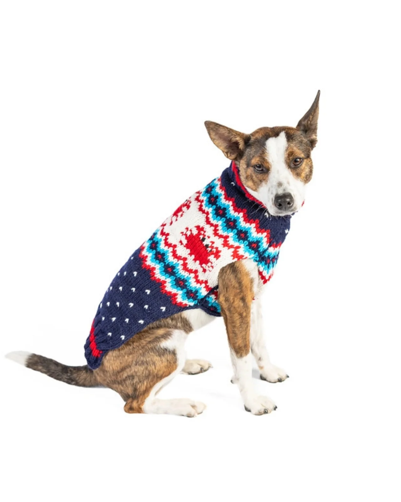 Crabby Coast Wool Dog Sweater (FINAL SALE) - Image 2