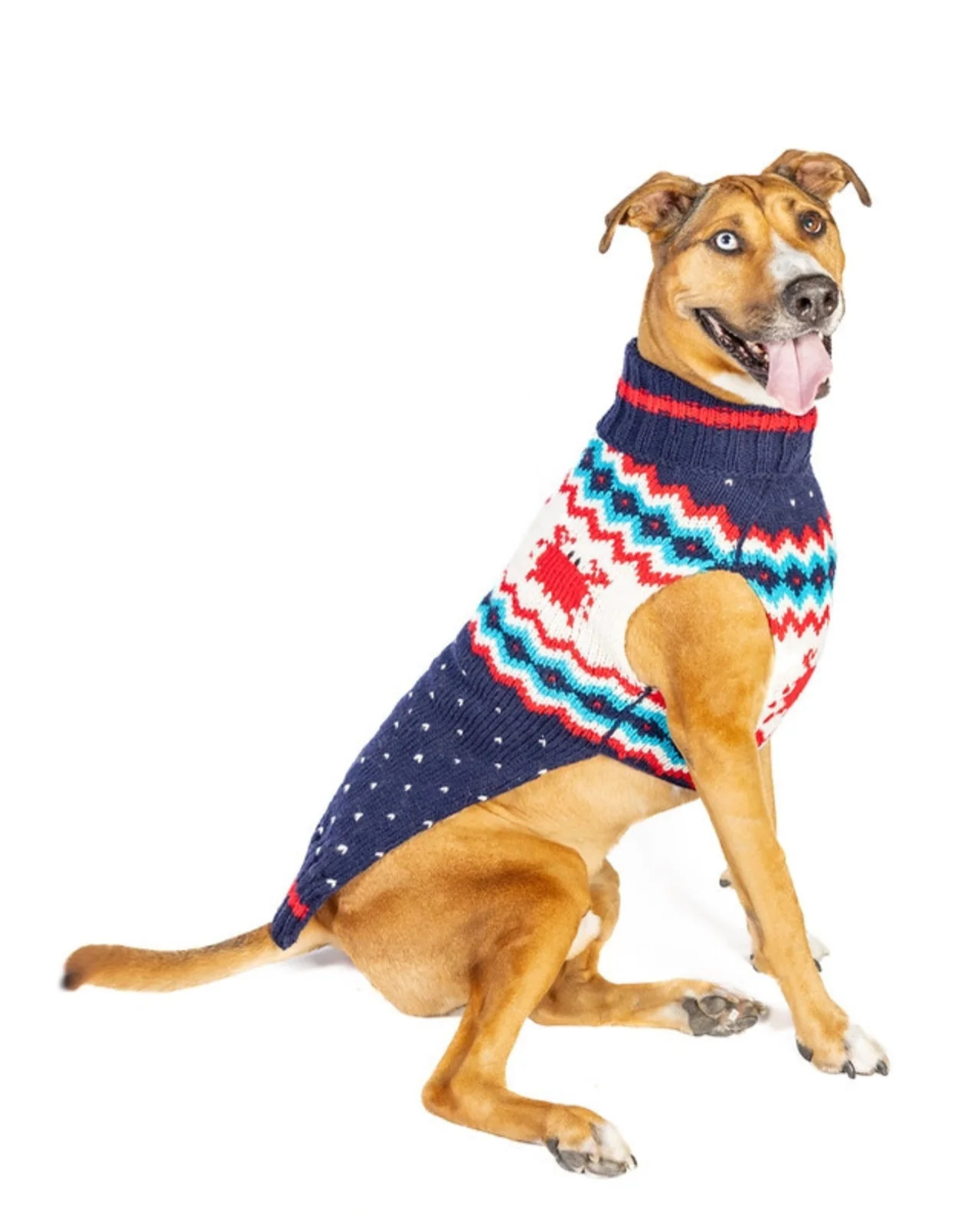 Crabby Coast Wool Dog Sweater (FINAL SALE) - Image 3