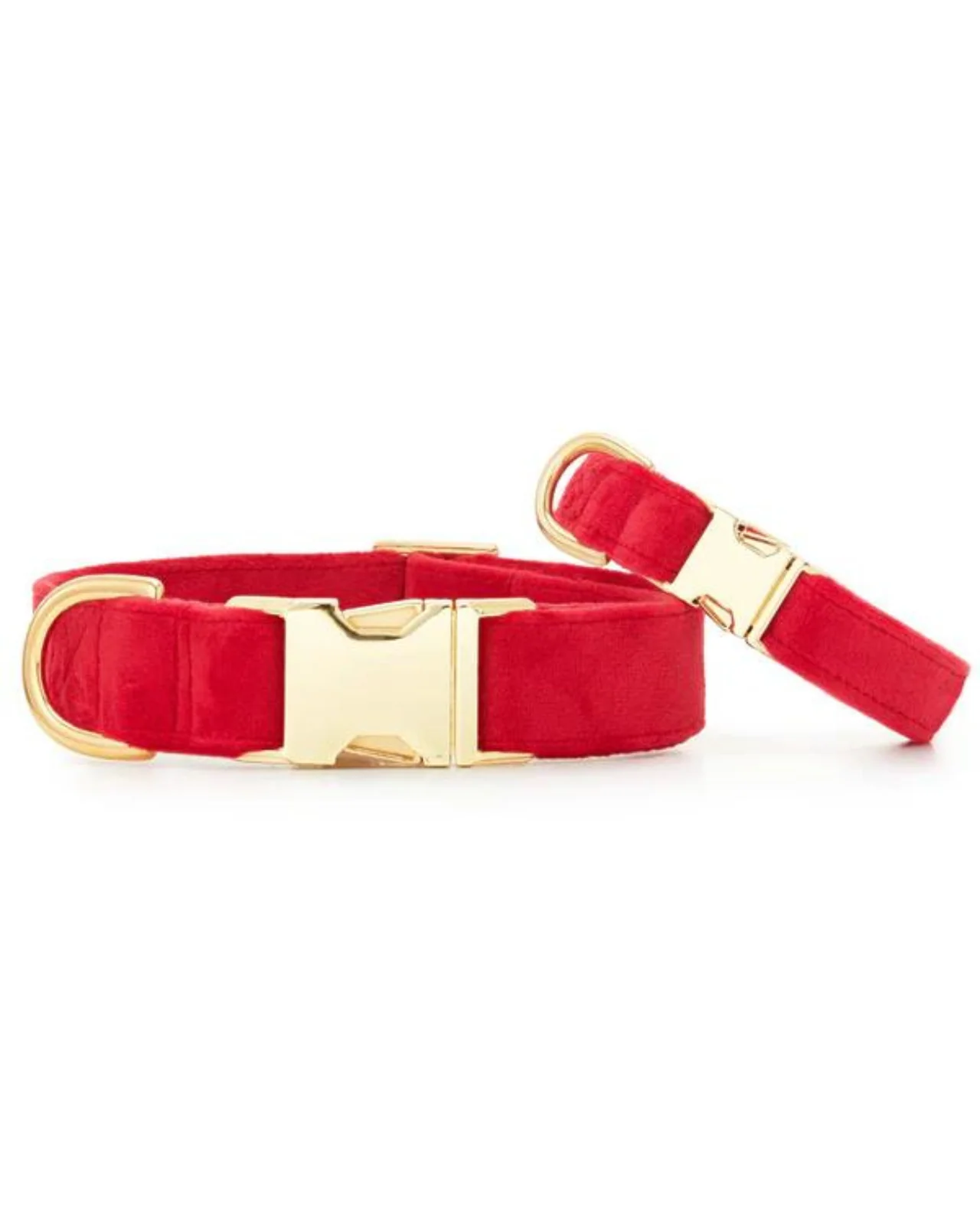 Cranberry Velvet Dog Collar (FINAL SALE) - Image 2