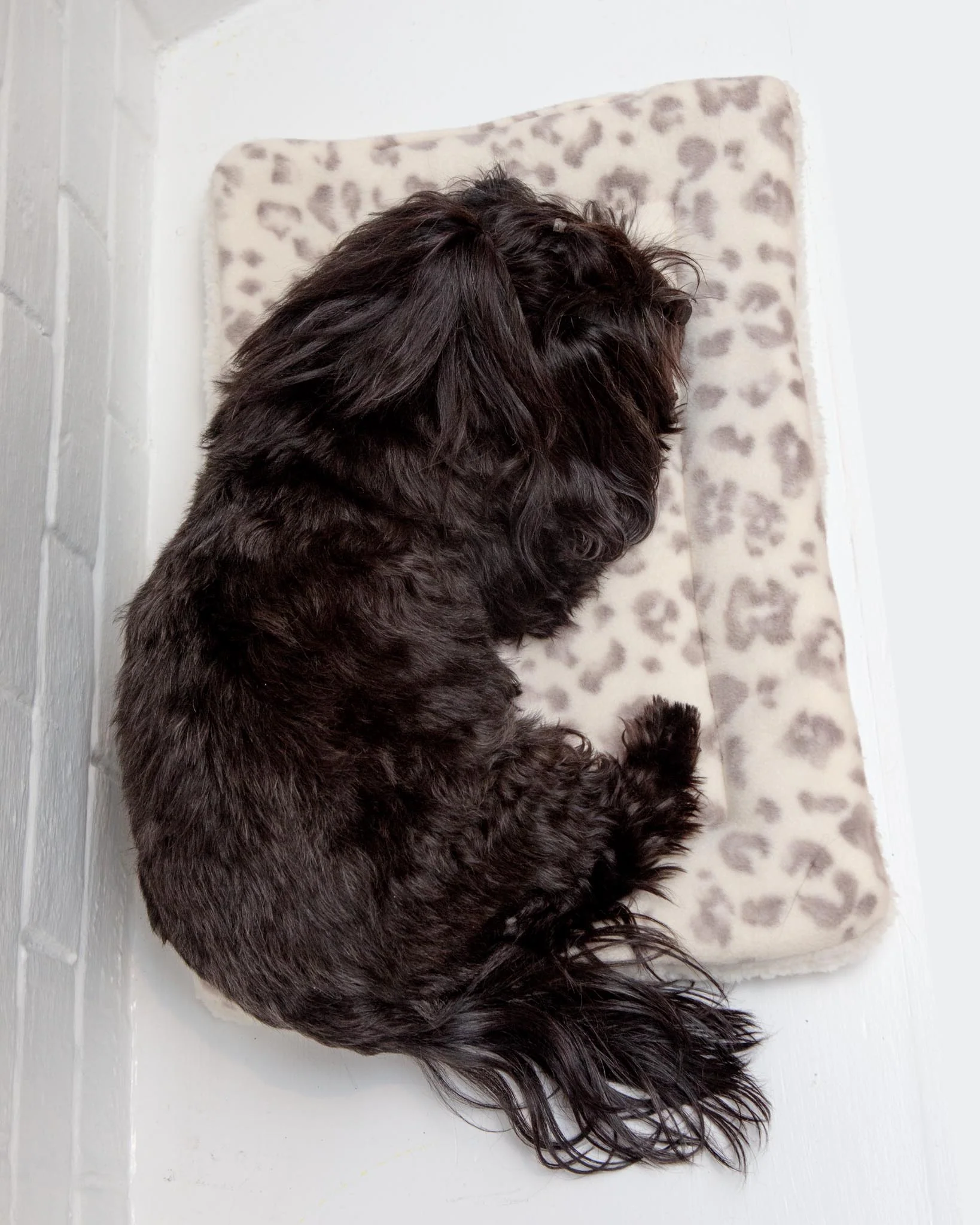 Cream Leopard Plush Fleece Pet Napping Mat (Made in the USA) (FINAL SALE) - Image 4