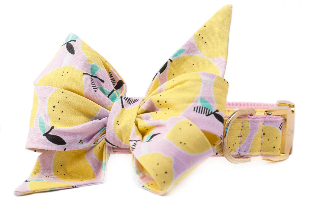 CREW LA LA | Belle Bow in Fresh Squeezed