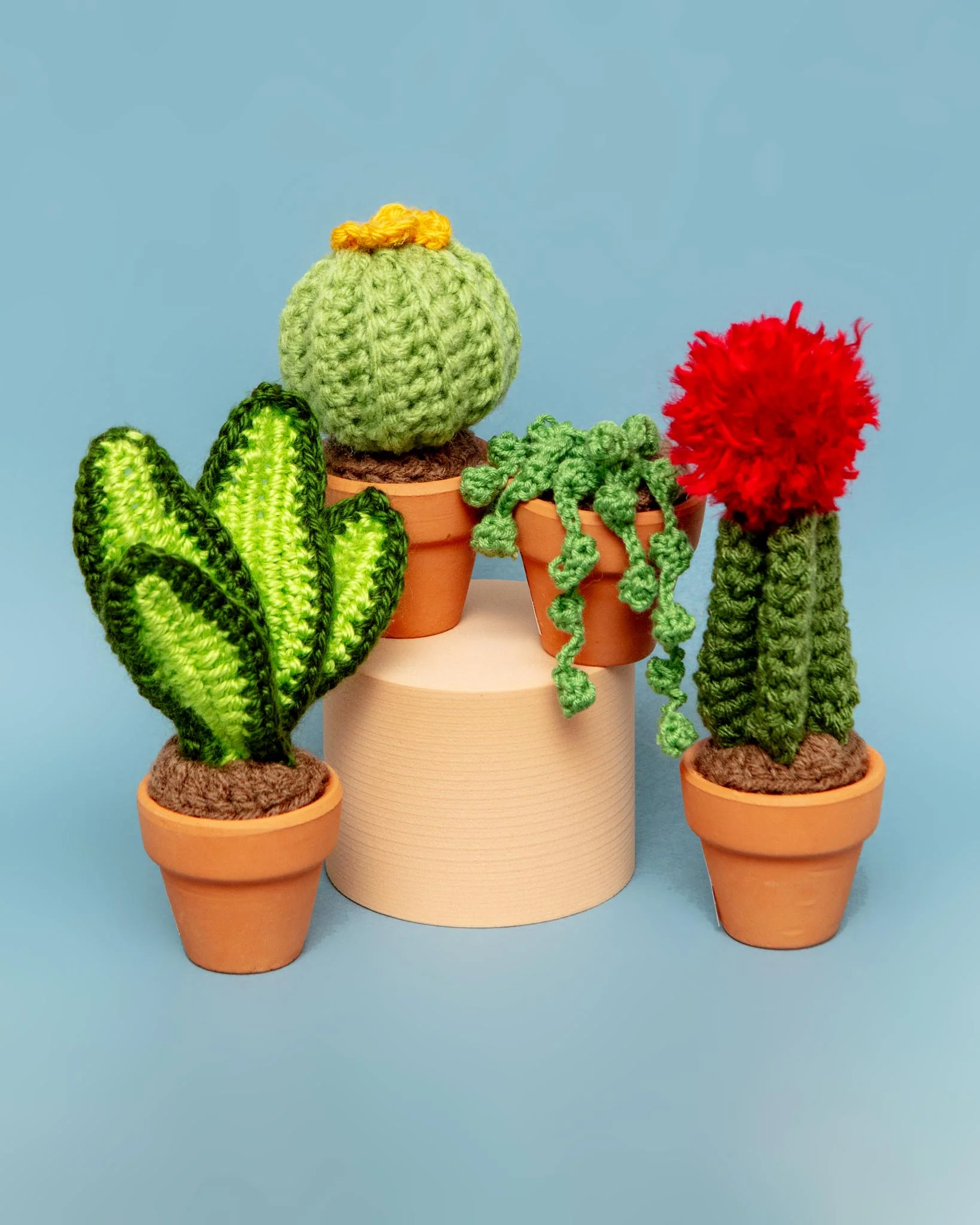 Pet-Safe Crochet Mini Cacti & Succulents (Made in the USA)