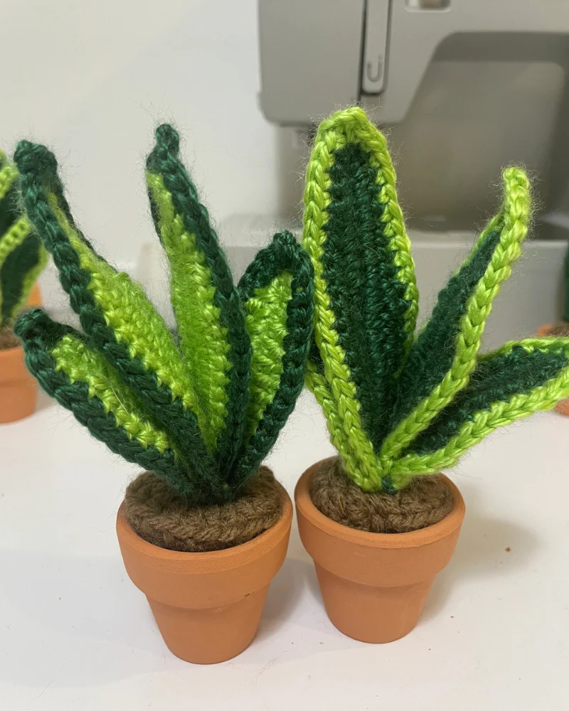 Pet-Safe Crochet Mini Cacti & Succulents (Made in the USA) - Image 2