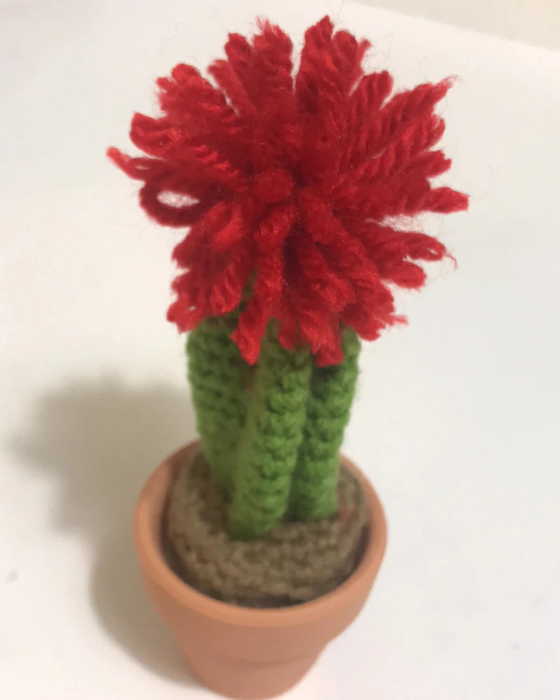 Pet-Safe Crochet Mini Cacti & Succulents (Made in the USA) - Image 3