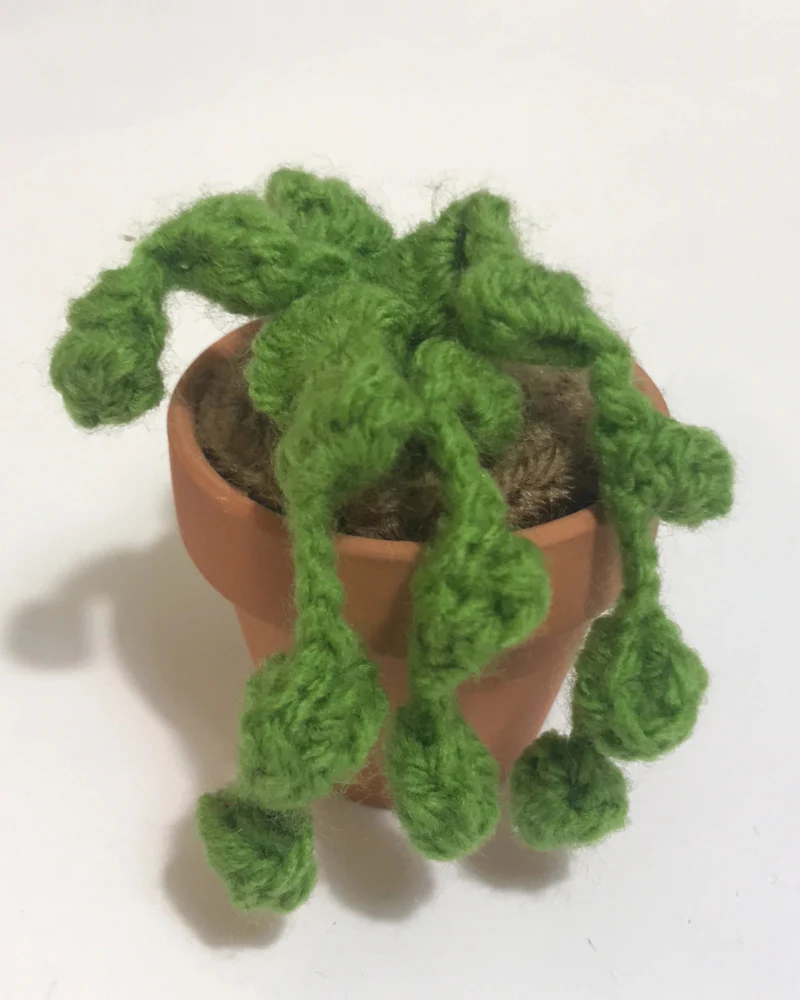 Pet-Safe Crochet Mini Cacti & Succulents (Made in the USA) - Image 4