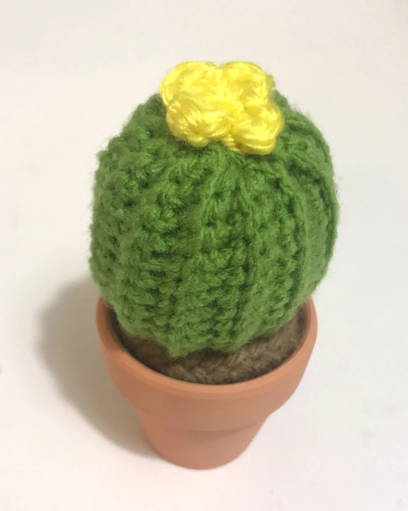 Pet-Safe Crochet Mini Cacti & Succulents (Made in the USA) - Image 5