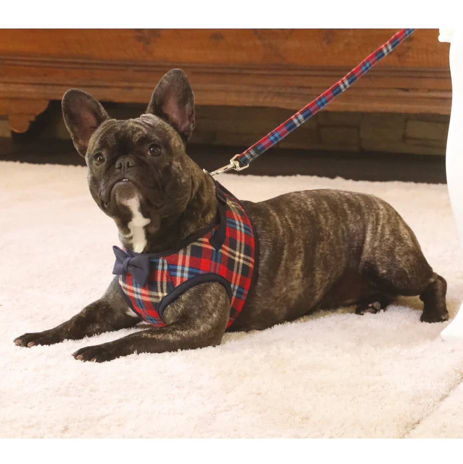 CROCI | British Plaid Leash
