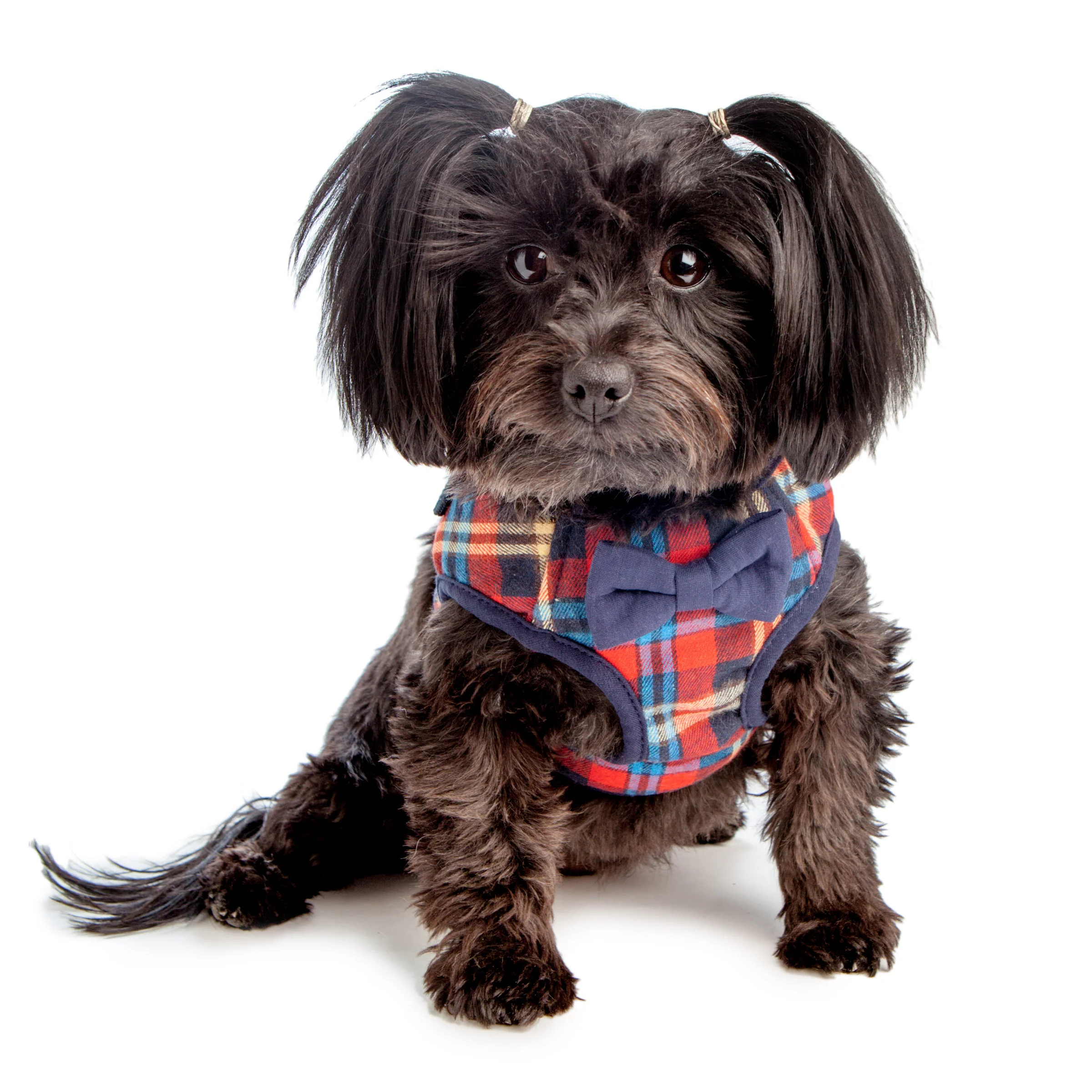 CROCI | British Plaid Leash - Image 2