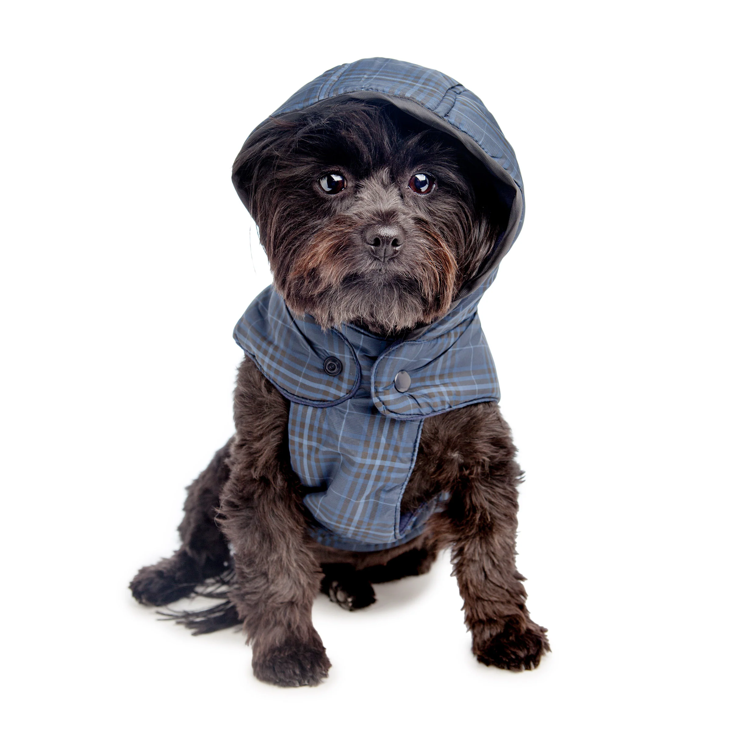 CROCI | Padded Plaid Jacket - Image 2