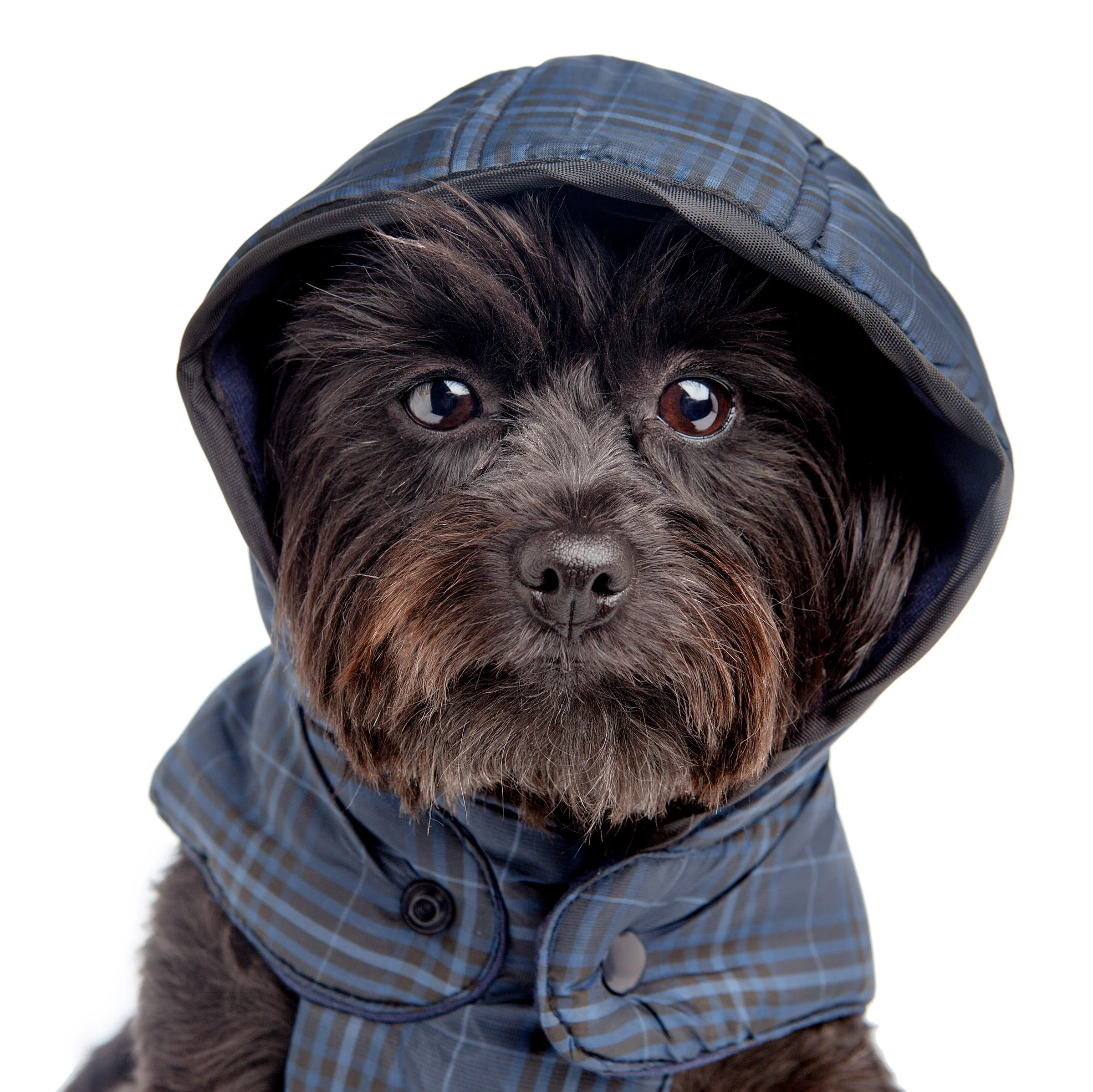 CROCI | Padded Plaid Jacket - Image 3
